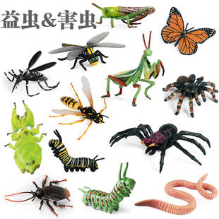 仿真益虫玩具害虫模型瓢虫蝼蛄蟑螂屎壳郎黄蜂蚊子天牛苍蝇小摆件