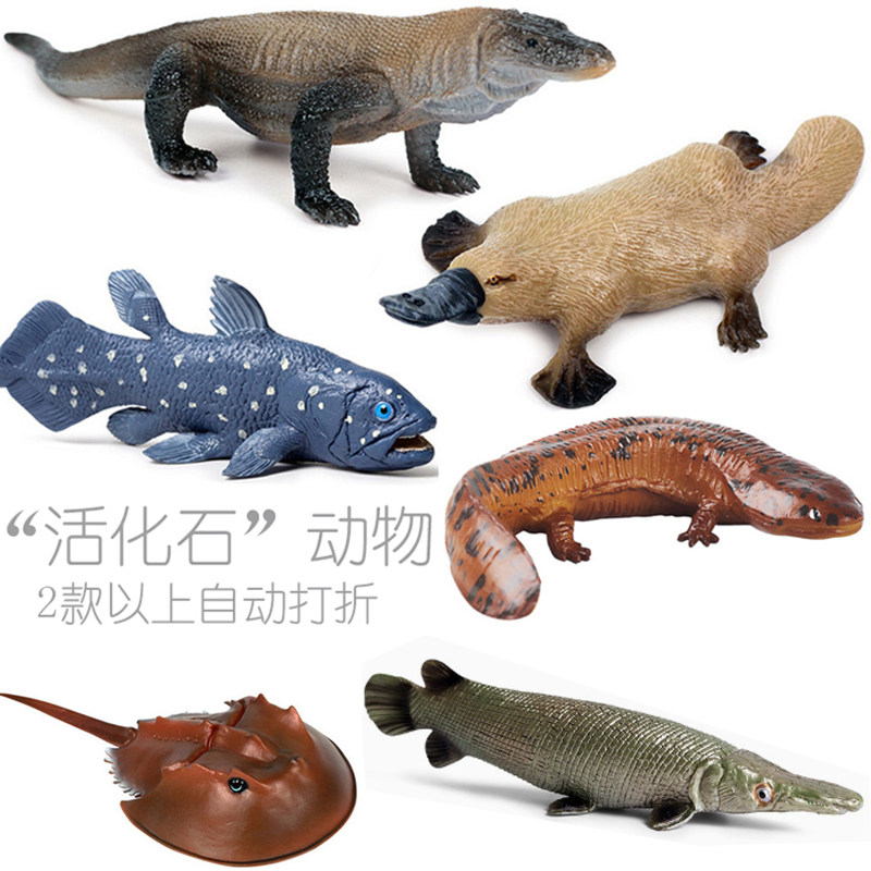 科普模型活化石动物鳄雀鳝科莫多巨蜥鸭嘴兽中华鲎鲟娃娃鱼蟑螂