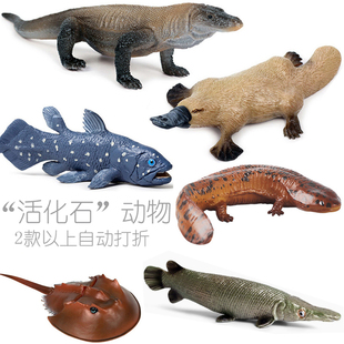 科普模型活化石动物鳄雀鳝科莫多巨蜥鸭嘴兽中华鲎鲟娃娃鱼蟑螂