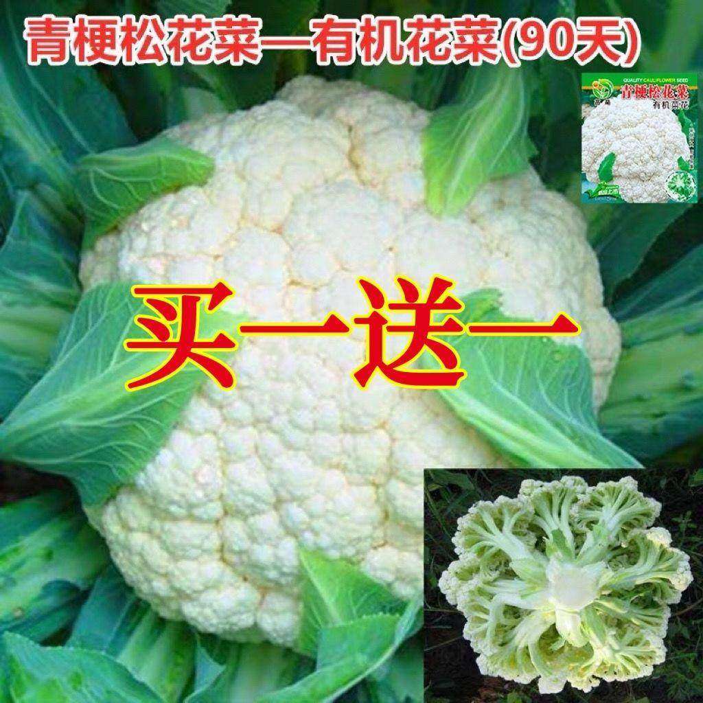 松花菜种子青梗花椰菜高产南北方花菜种籽盆栽春秋四季蔬菜孑,农用物资,蔬菜种子/种苗,淘宝优惠券,粉丝福利购,淘宝优惠卷