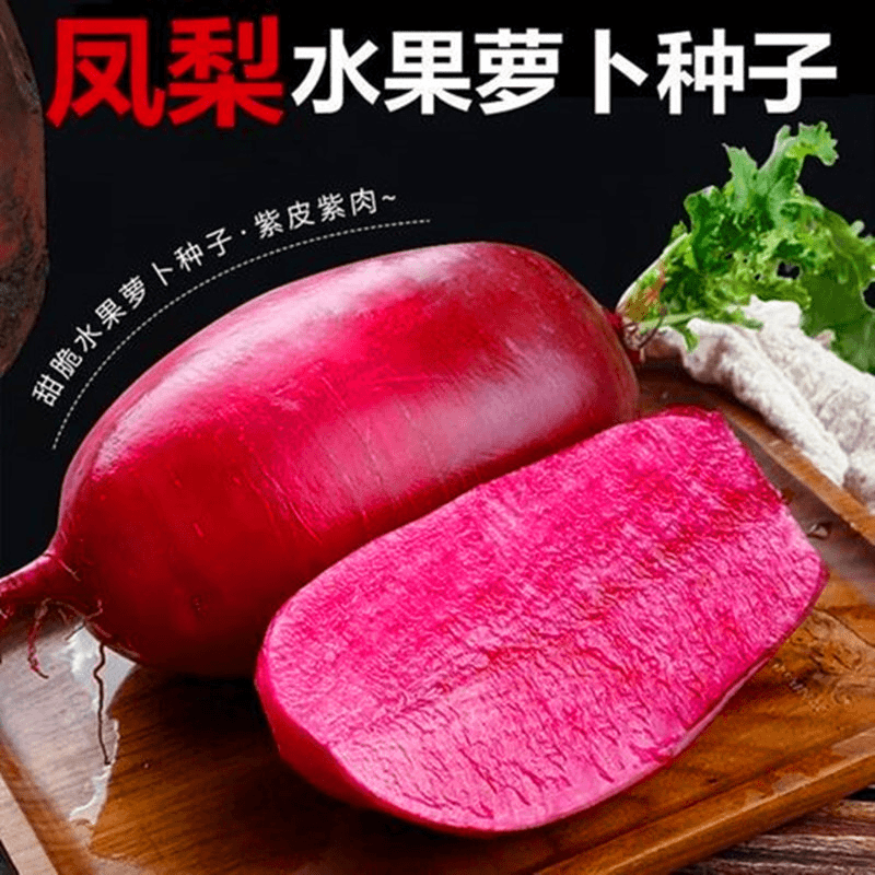 耐热凤梨萝卜种子水果籽