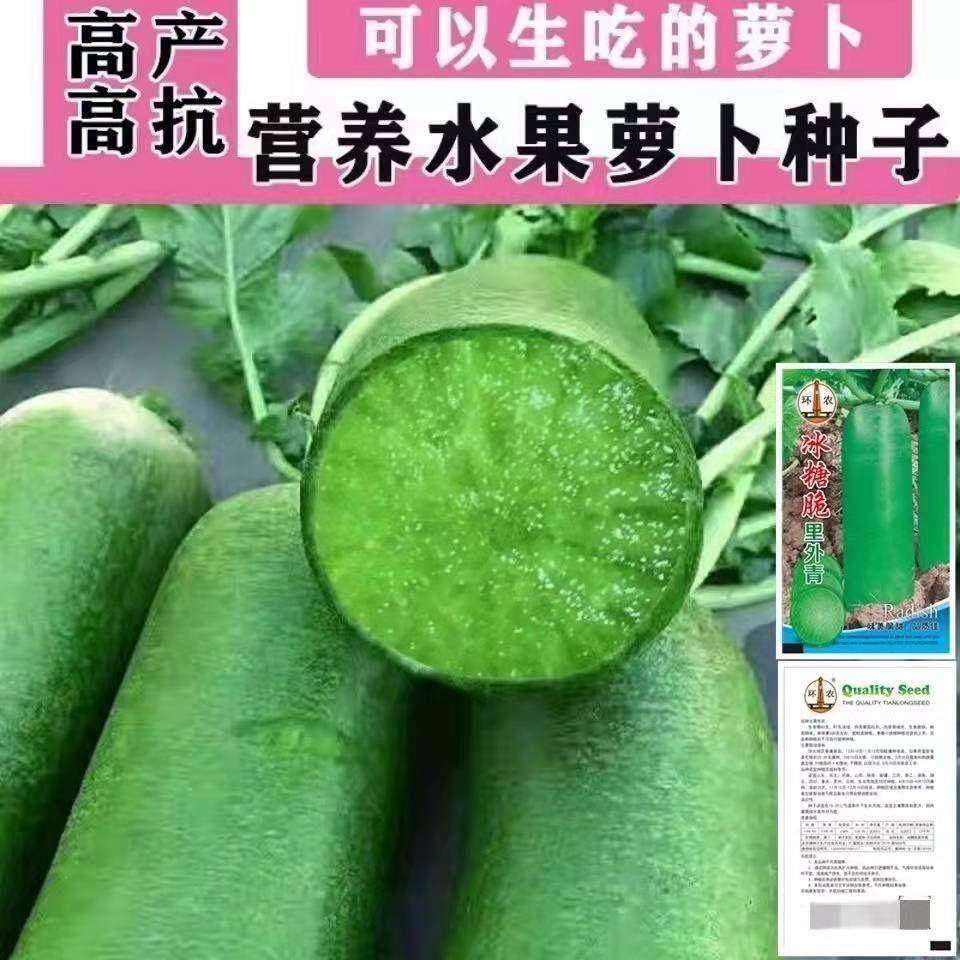 冰糖水果萝卜种子生吃脆甜农家蔬菜种孑四季播种耐热绿萝卜种籽,农用物资,蔬菜种子/种苗,淘宝优惠券,粉丝福利购,淘宝优惠卷