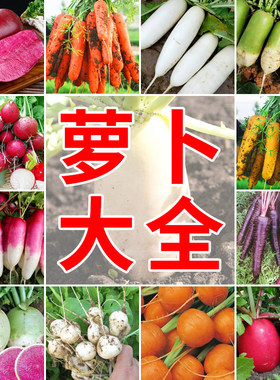 萝卜种子大全凤梨水果萝卜九寸胡萝卜九斤王白萝卜青萝卜蔬菜种籽