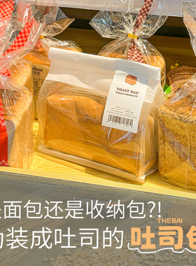 败家实验室THEBAI吐司包大容量收纳包笔袋防水杜邦纸分层化妆包