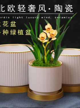 北欧高颜值圆形陶瓷花盆简约客厅电视柜办公室兰花绿植盆送托盘