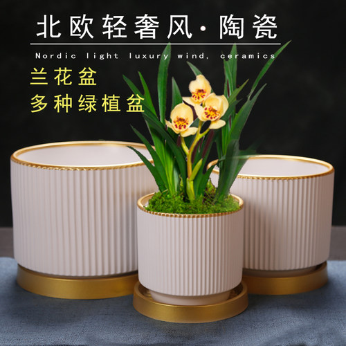 北欧轻奢办公室兰花绿植盆送托盘