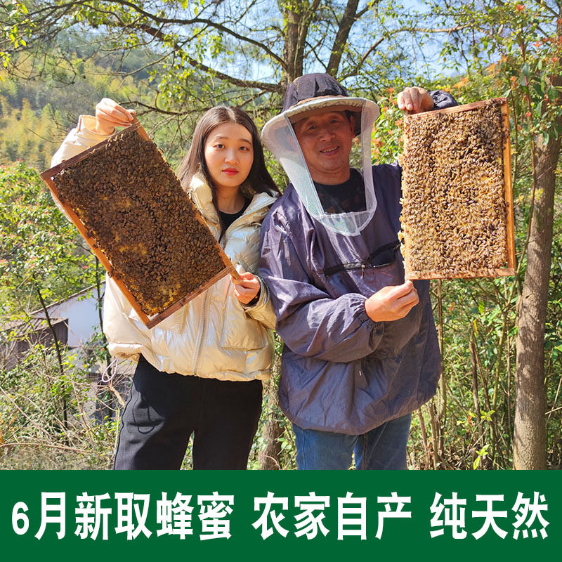 土蜂蜜纯正天然农家自产深山野生百花孕妇儿童无添加正宗结晶500g