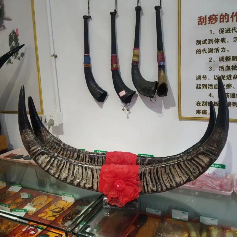 精品黑水牛角牛头挂件摆件对角原始整只真原料工艺品舞台演出道具