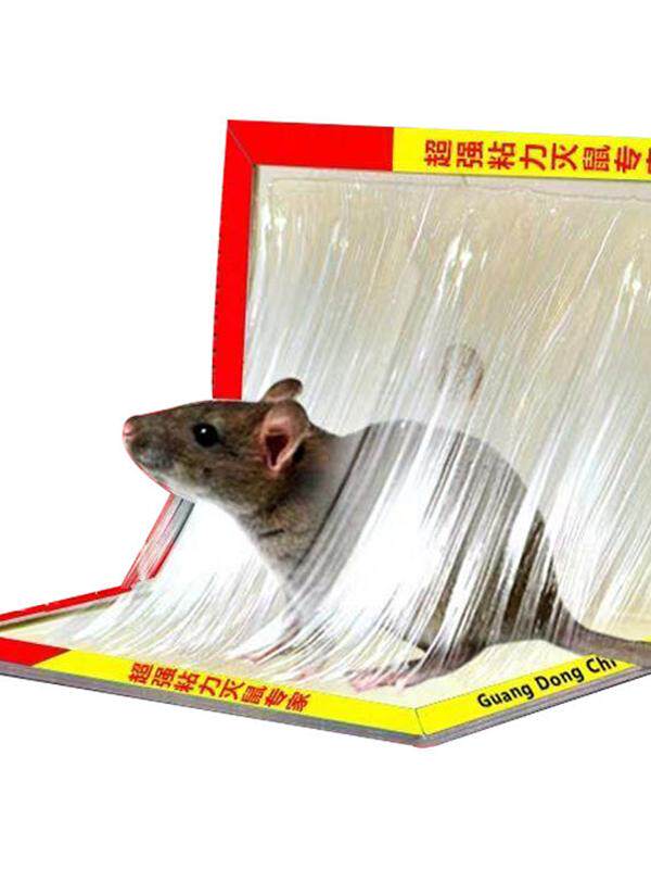 POWERFUL RAT TRAP STICKY MOUSE BOARD MOUSETRAP HOME RAT CAGE TO CATCH RAT ARTIFACT NEMESIS A LITTER END FULLY AUTOMATIC