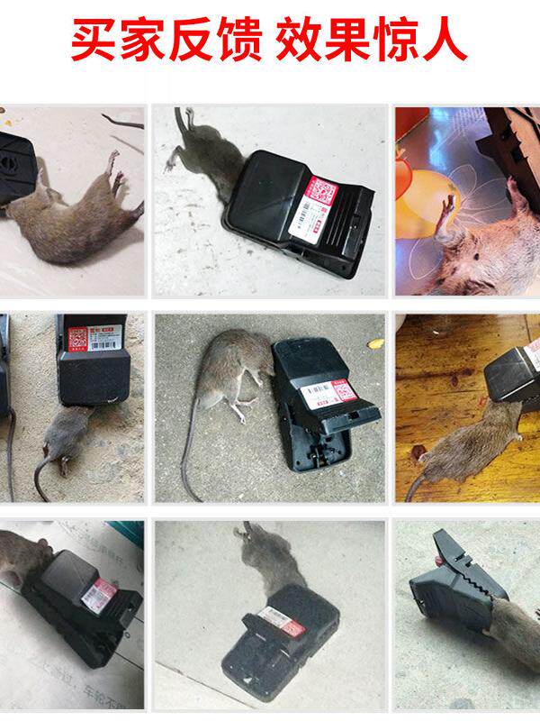 BIG MOUSE CLIP IRON CLIP STRONG CATCH AND CATCH MOUSE ARTIFACT AUTOMATIC ONE NEST END HIGH-EFFICIENCY RAT KILLING BOARD HOME NEMESIS