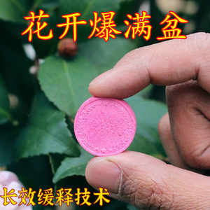 植物营养缓释片控释片氮磷钾种花养花卉绿植果蔬盆栽家用长效花肥