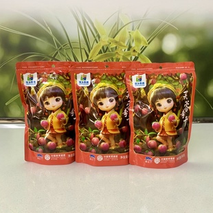 李干芙蓉干酸甜李子原味蜜饯办公零食福建特产独立小包整袋发货