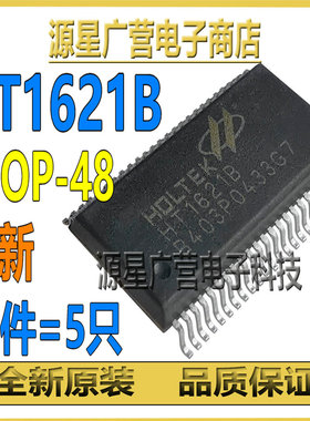 (5只) HT1621B TM1621B SSOP-48 LCD驱动控制器 芯片IC 全新原装