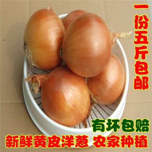 赔偿农家黄皮洋葱斤装新鲜