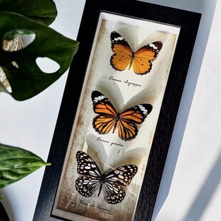 北欧中空长条相框蝴蝶标本手工diy画框摆台长方形玻璃展示框