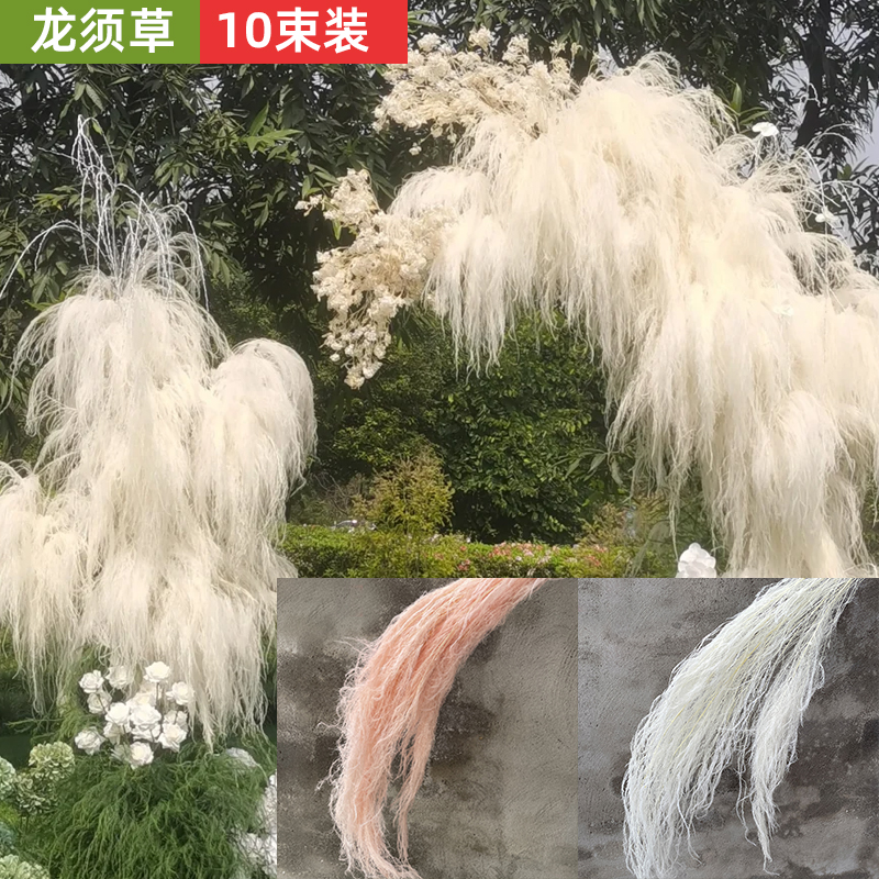 龙须草厂家直销永生花芦寻草垂吊感婚庆花材婚礼干花