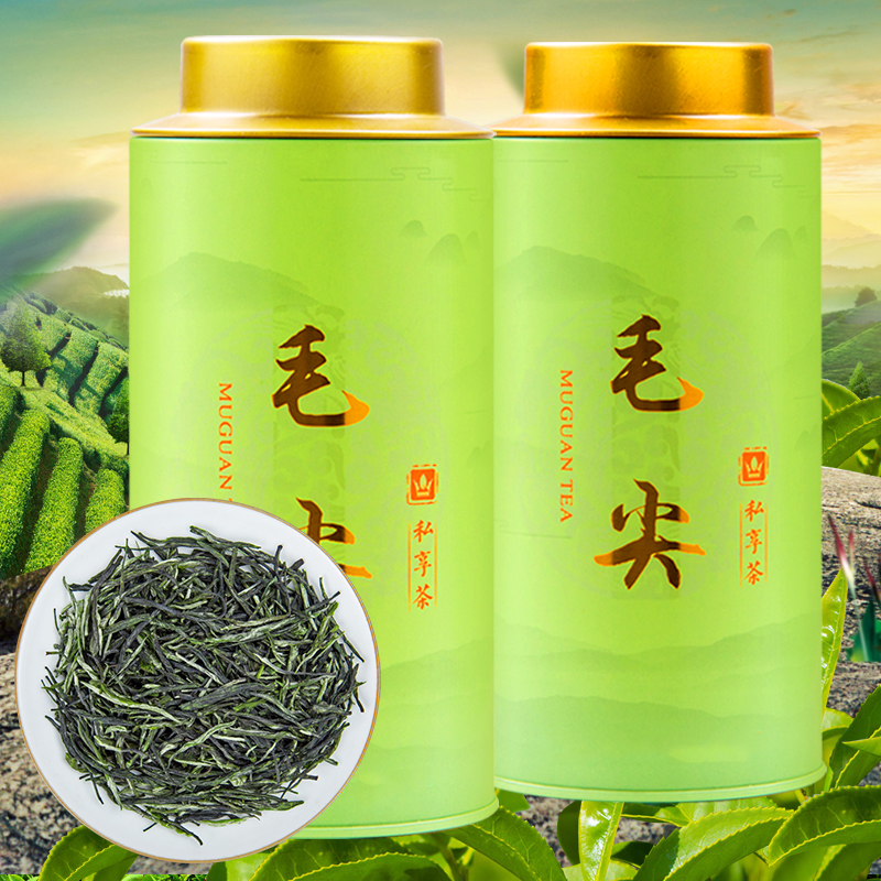 新茶 毛尖绿茶茶叶罐装雨前 信阳雨前毛尖茶罐装散装绿茶嫩芽100g