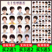 中老年女士发型图片海报理发店墙贴美发店装 短发壁纸 饰贴画时尚