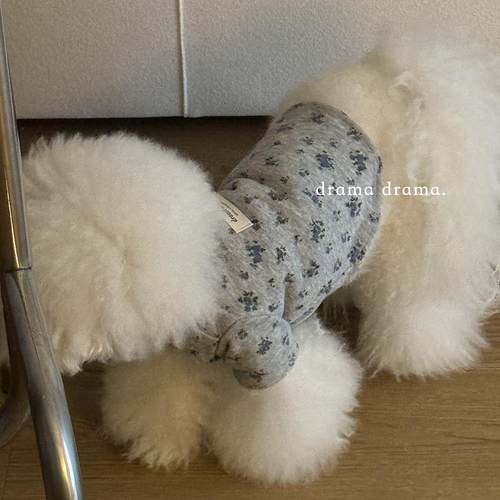 drama秋冬季宠物服饰原创设计