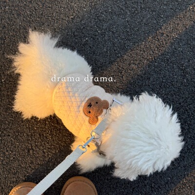 加绒马甲棉衣drama保暖猫狗可爱