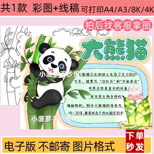 大熊猫名片介绍手抄报电子模板动物介绍观察记录线稿打印涂色模板