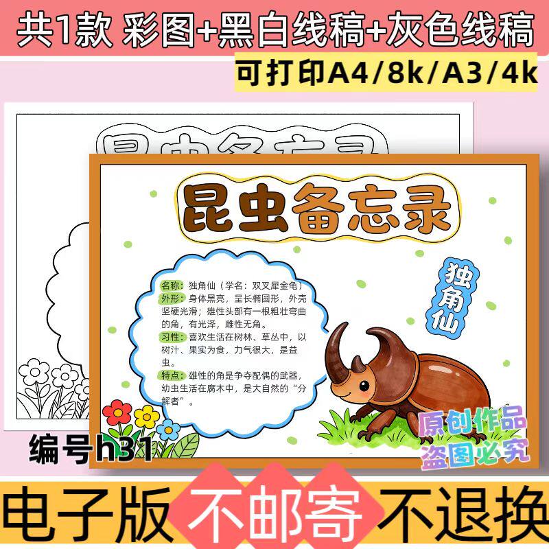 h31独角仙虫昆虫备忘录手抄报昆虫记小报模板线稿电子版A4