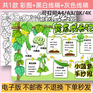 黄瓜成长记手抄报模板电子版小学生植物成长观察日记自然笔记小报
