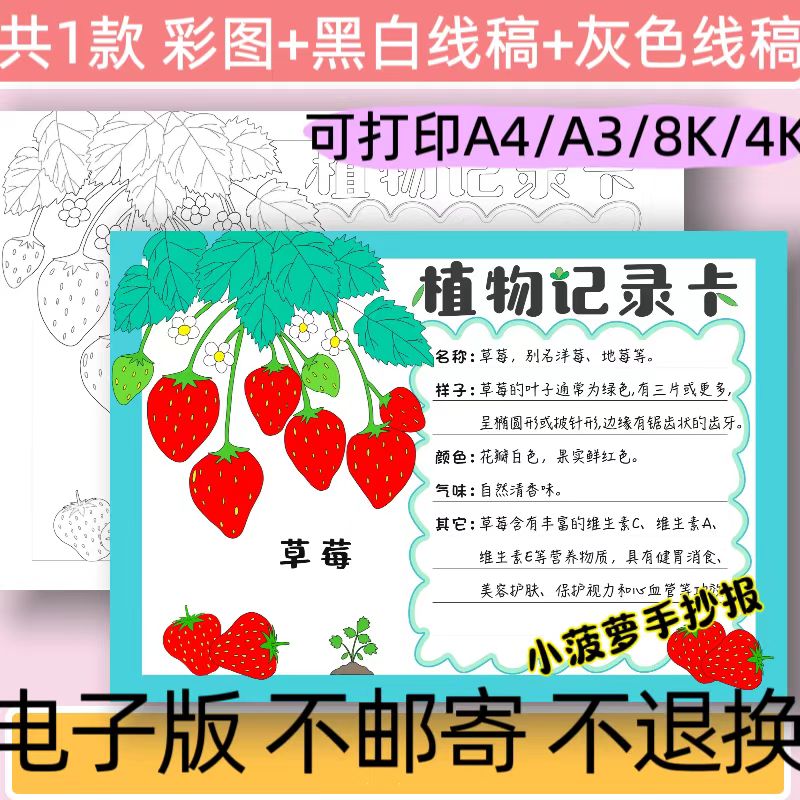 B36植物记录卡手抄报模板电子版小学生植物生长观察自然笔记线稿