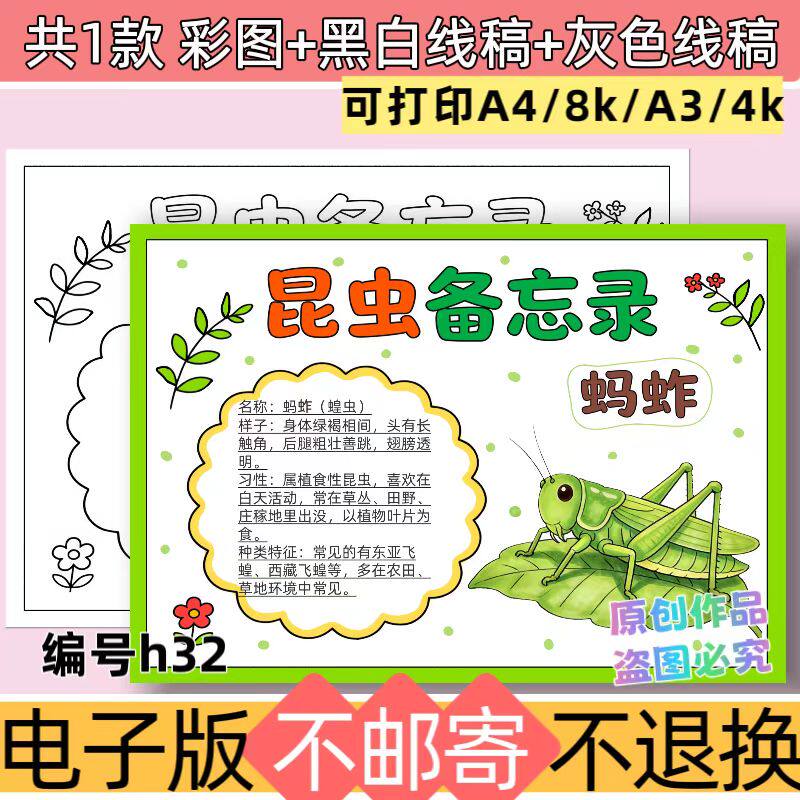 h32蚂蚱昆虫备忘录绘画主题手抄报昆虫记小报模板线稿电子版A4