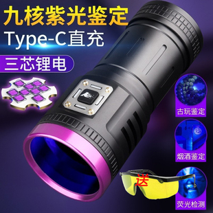新品紫光9灯type-C直充UV照蝎子灯大功率鉴定荧光紫外线手电筒