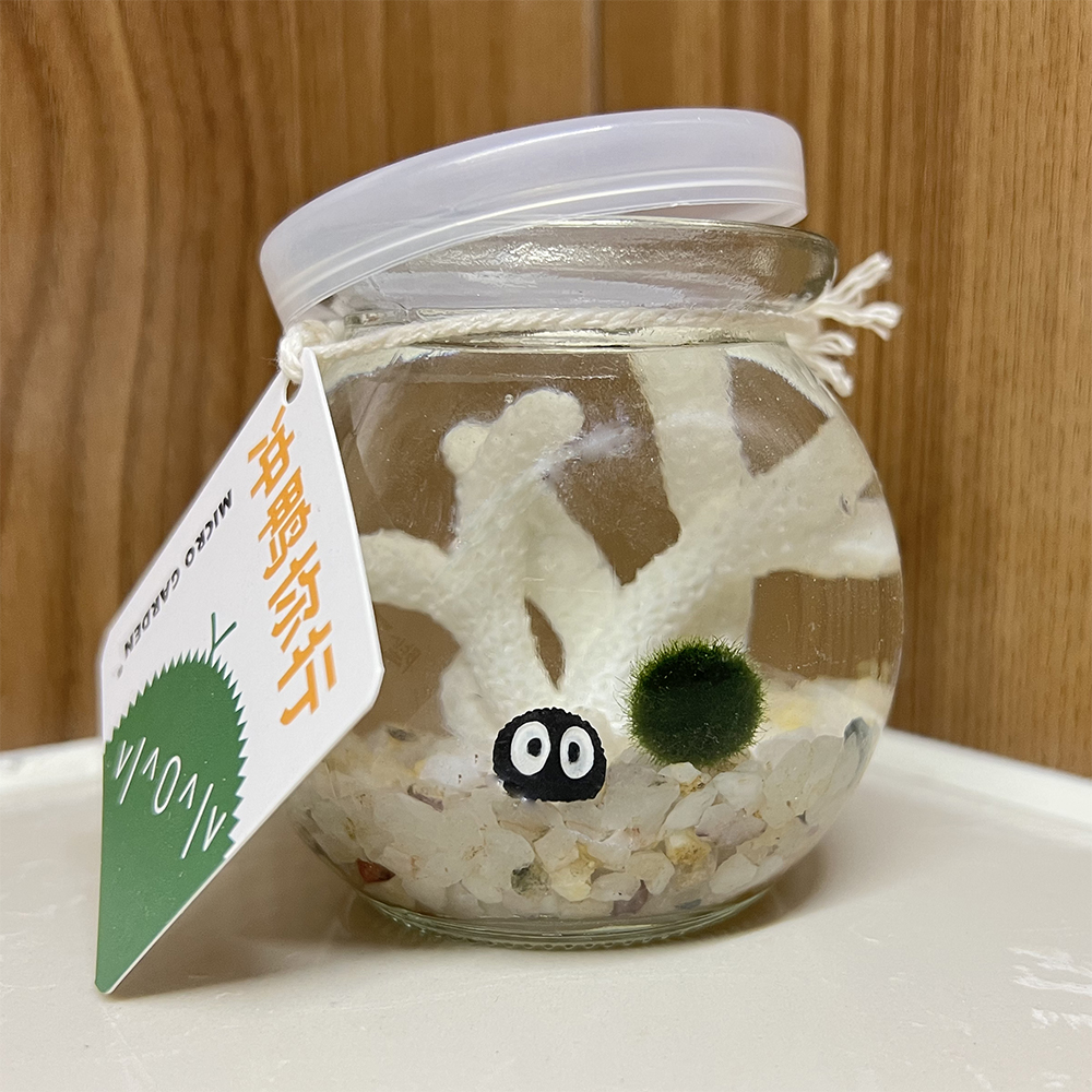 MICROGARDEN海藻球生态瓶创意礼
