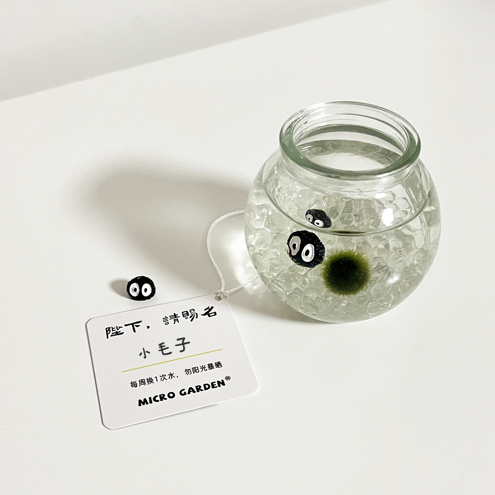 海藻球马里莫 水培懒人植物好养活 创意礼物送朋友室内桌面小宠物