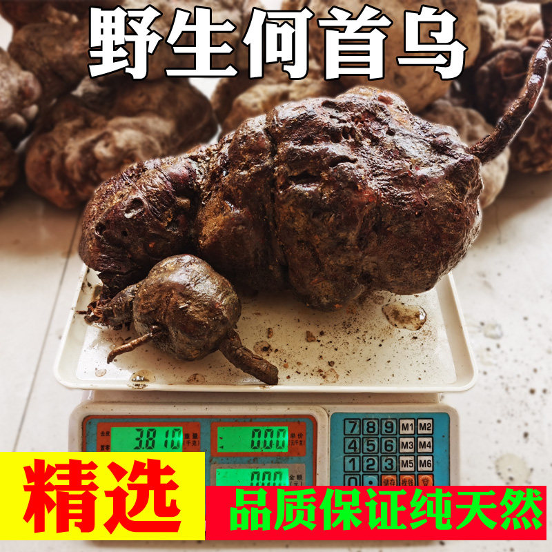 广西野生新鲜生何首乌首乌盆栽特级泡酒制何首乌防脱乌发黑发煲汤