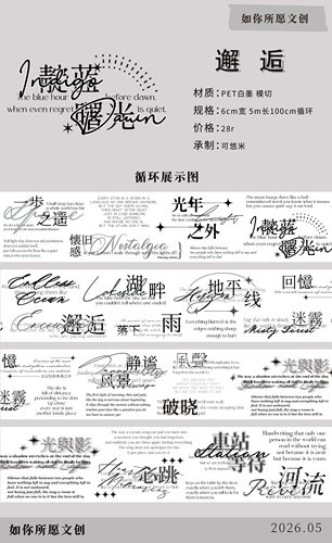 623 如你所愿【邂逅】【未来】PET模切 6×100cm 手帐胶带分装