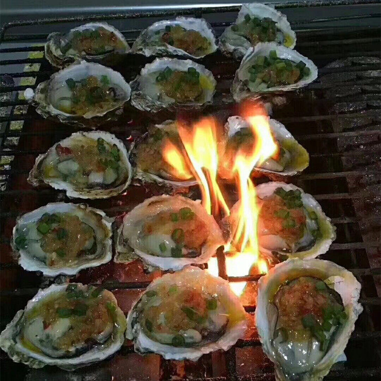 烧烤店生蚝新鲜海蛎带壳牡蛎 海蛎全壳碳烧半壳生蚝10斤广东包邮