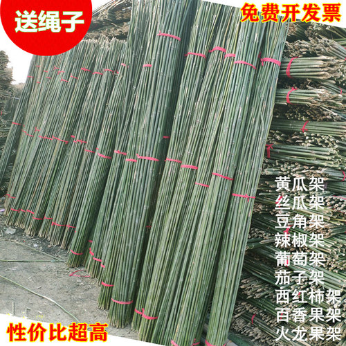 菜园搭架竹竿竹子园艺篱笆豆角架