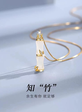 竹节项链女士款925纯银小众2025年爆款520七夕情人节礼物送女友