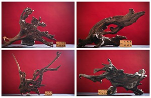 精品造景沉木紫柚木天然装饰木
