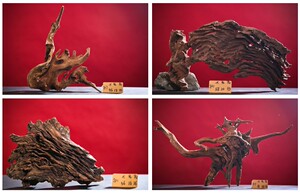 精品造景沉木紫柚木鱼缸造景木