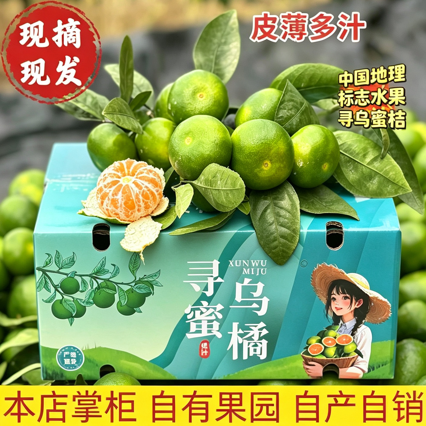 江西正宗寻乌蜜桔新鲜水果