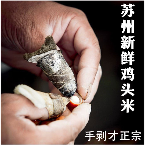 2026苏州鸡头米新鲜大颗粒顺丰