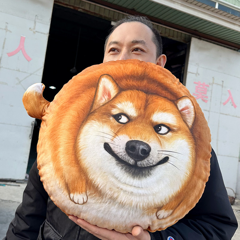 逗比二哈柴犬靠垫抱枕可爱仿真财源滚滚毛绒玩具公仔生日礼物女孩
