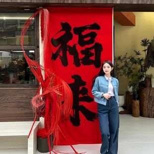 贺新年福字红灯笼装 饰 饰品氛围布置挂饰2026过年春节户外店铺装