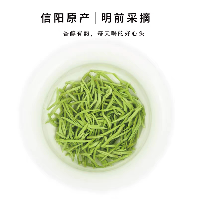 信阳毛尖2026年新茶绿茶雨前嫩芽固始茶长辈送礼高品质茶叶毛尖