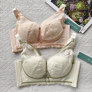 新款品牌文胸 小胸鱼尾杯中厚款无钢圈深V美胸带性感聚拢内衣