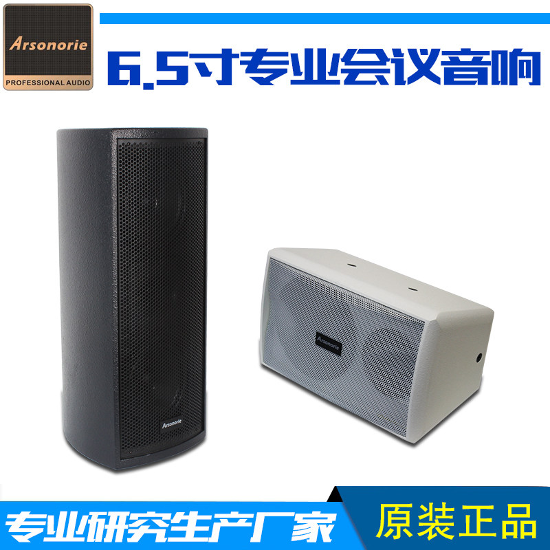雅奇力双6.5寸全频 专业会议音箱/多功能环绕/背景音乐挂壁咖啡厅