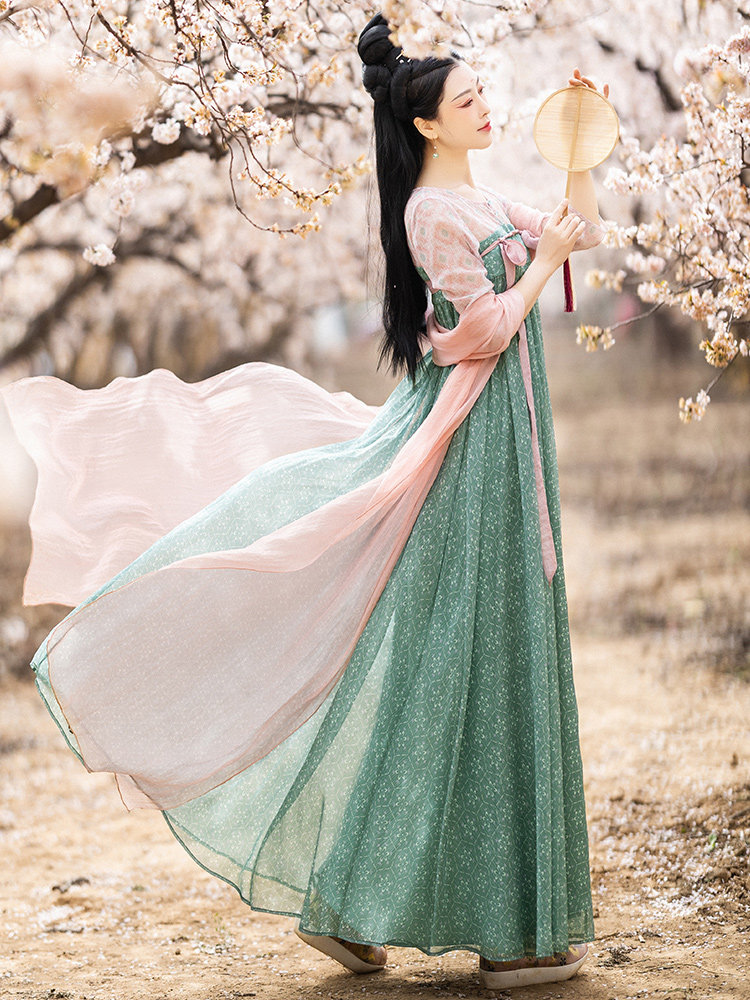 [봄 연기와 따뜻함] 원래 당나라 HANFU 여성의 중국 스타일 개선 된 가슴 길이의 러 스커트 봄 여름 한 요소 드레스 요정