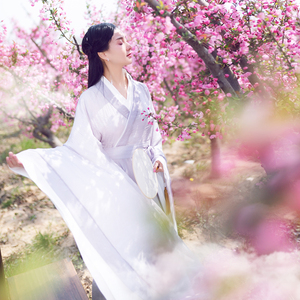 【现货】汉服大广袖长裙子夏季装新款复古风文艺收腰网纱连衣裙女