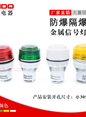 BD8050新款金属隔爆防爆防腐指示灯电源信号灯 AC220VAC380VDC24V