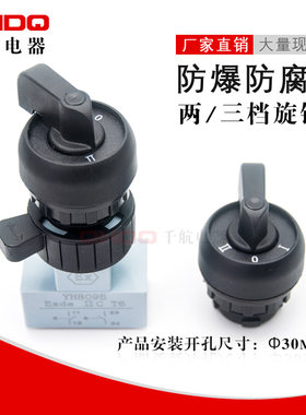 BA8095自锁型防爆防腐转换开关 二档三档防爆旋钮控制按钮 开孔30